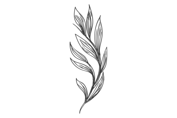 The Leaf Branch Doodle: A Brand Designer's Review