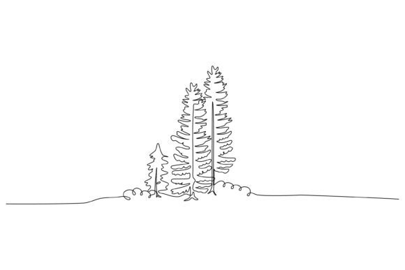 The Pine Tree: A Single-Line Graphic for Elegant Illustrations